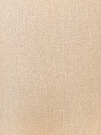 کاغذ دیواری قابل شستشو عرض 50 متفرقه آلبوم بن وویج کد 066153